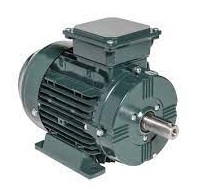 3 Phase Toshiba Permanent Magnet Motors IEC